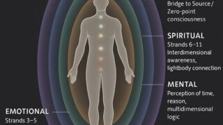 Die 12-strängige DNA